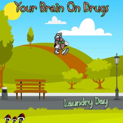 3000x3000-695754--745A4600-8038-4331-BE45FF0AF92067C5--0--802384--YourBrainOnDrugsLaundryDayCover